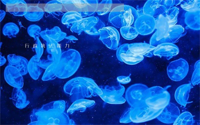 行政执法能力 行政执法能力