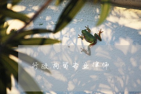 行政拘留专业律师