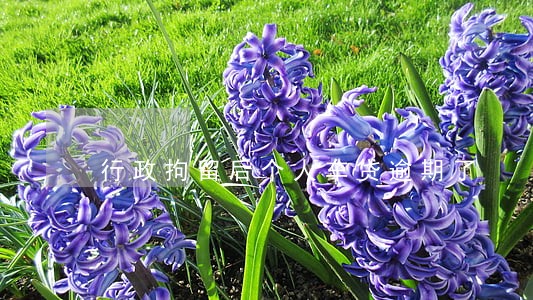 行政拘留后个人车贷逾期了 行政拘留后个人车贷逾期了