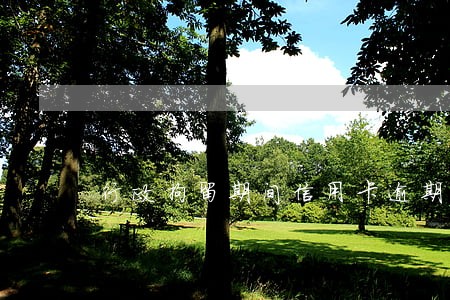 行政拘留期间信用卡逾期怎么办