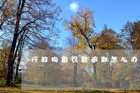 行政拘留罚款逾期怎么办 行政拘留罚款逾期怎么办