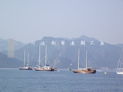 行政拘留逾期不去 行政拘留逾期不去