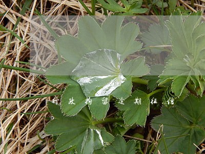 行政拘留逾期征信 行政拘留逾期征信