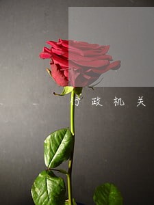 行政机关协助法院执行的依据
