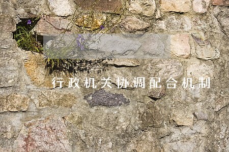 行政机关协调配合机制