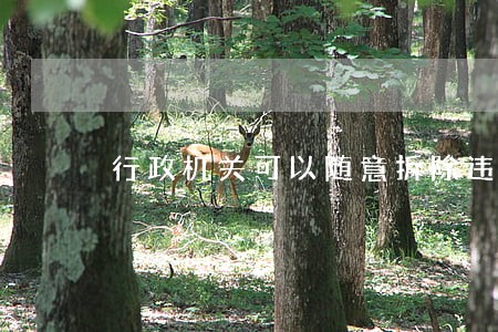 行政机关可以随意拆除违法建筑吗 行政机关可以随意拆除违法建筑吗