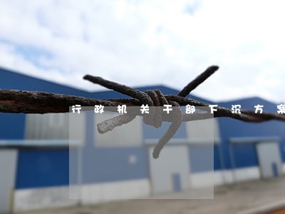 行政机关干部下沉方案 行政机关干部下沉方案