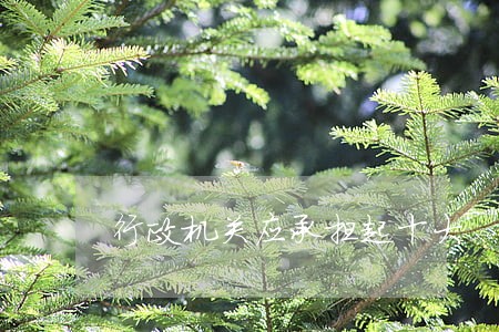 行政机关应承担起十大 行政机关应承担起十大