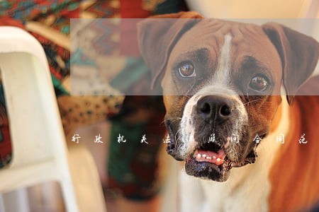 行政机关法律顾问合同范本