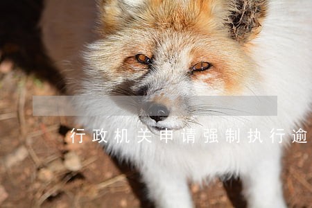 行政机关申请强制执行逾期 行政机关申请强制执行逾期