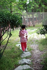 行政机关申请法院执行条件