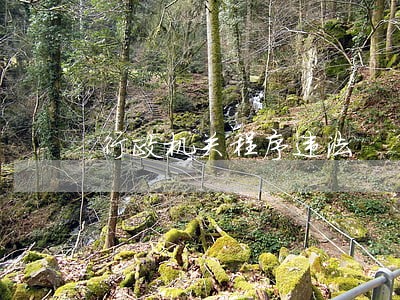 行政机关程序违法