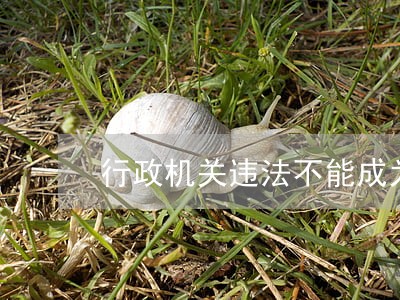 行政机关违法不能成为 行政机关违法不能成为