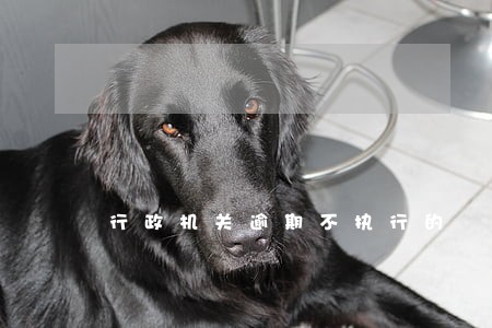 行政机关逾期不执行的 行政机关逾期不执行的