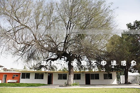 行政机关逾期不申请信息公开的 行政机关逾期不申请信息公开的