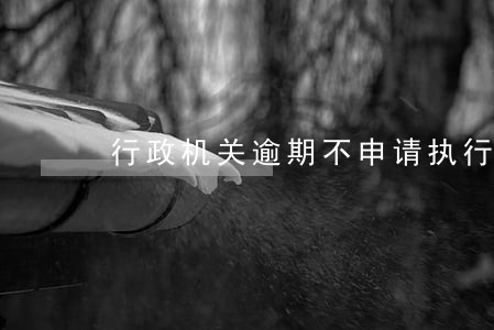 行政机关逾期不申请执行的 行政机关逾期不申请执行的
