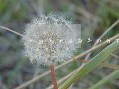 行政机关逾期举证的不利法律后果 行政机关逾期举证的不利法律后果