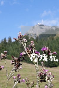 行政机关逾期回复赔偿金额 行政机关逾期回复赔偿金额