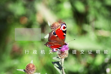 行政机关逾期提交证明能否质证 行政机关逾期提交证明能否质证