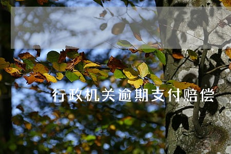 行政机关逾期支付赔偿