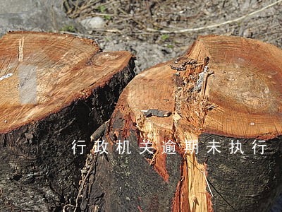 行政机关逾期未执行 行政机关逾期未执行