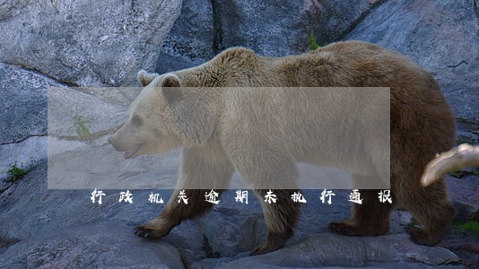 行政机关逾期未执行通报 行政机关逾期未执行通报