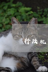 行政机关逾期未提供证据的后果 行政机关逾期未提供证据的后果