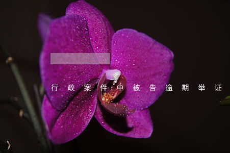 行政案件中被告逾期举证判决书 行政案件中被告逾期举证判决书