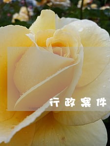 行政案件原则上由人民法院管辖 行政案件原则上由人民法院管辖