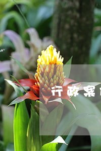 行政案件官司正规律师团 行政案件官司正规律师团