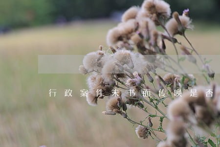 行政案件未书面传唤是否违法 行政案件未书面传唤是否违法