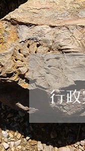 行政案件被告提交证据逾期