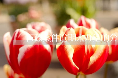 行政案件逾期未办结的分析报告 行政案件逾期未办结的分析报告