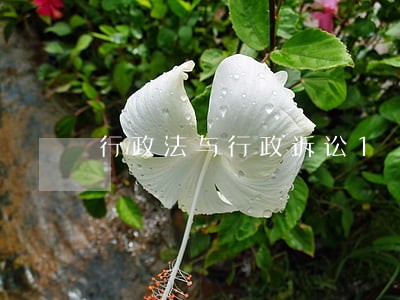 行政法与行政诉讼1 行政法与行政诉讼1