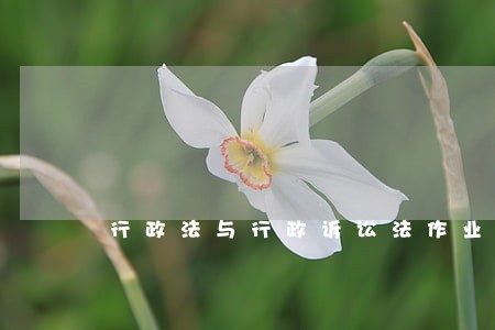 行政法与行政诉讼法作业4答案