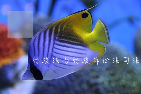 行政法与行政诉讼法司法考试重点 行政法与行政诉讼法司法考试重点