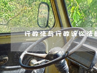 行政法与行政诉讼法的基本结构 行政法与行政诉讼法的基本结构