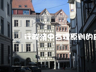行政法中合理原则的应用 行政法中合理原则的应用
