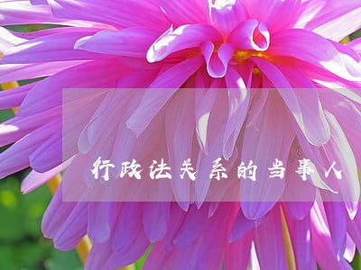 行政法关系的当事人 行政法关系的当事人