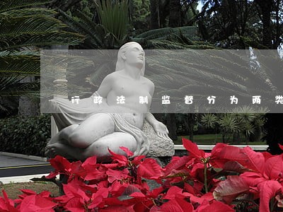 行政法制监督分为两类 行政法制监督分为两类