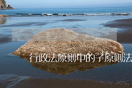 行政法原则中的子原则法律优先