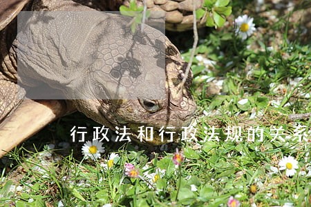 行政法和行政法规的关系是