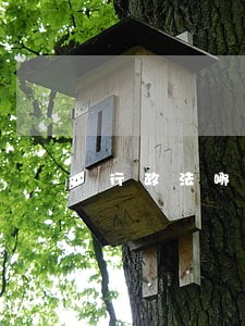 行政法哪个好考 行政法哪个好考