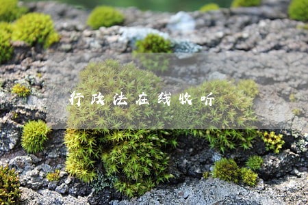 行政法在线收听 行政法在线收听