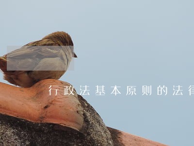 行政法基本原则的法律适用 行政法基本原则的法律适用
