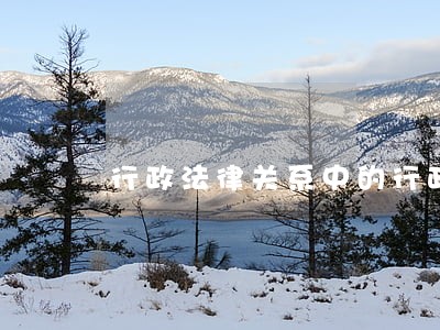 行政法律关系中的行政主体的权利 行政法律关系中的行政主体的权利