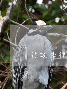 行政法律关系基本原则 行政法律关系基本原则