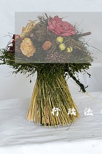 行政法律关系的概念及其特征 行政法律关系的概念及其特征