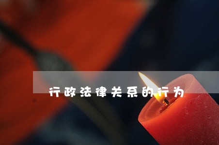 行政法律关系的行为 行政法律关系的行为