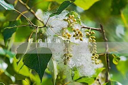 行政法执行情况 行政法执行情况
